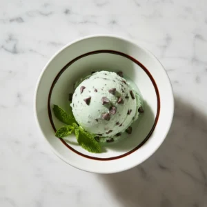 Mint Chocolate Chip Ice Cream